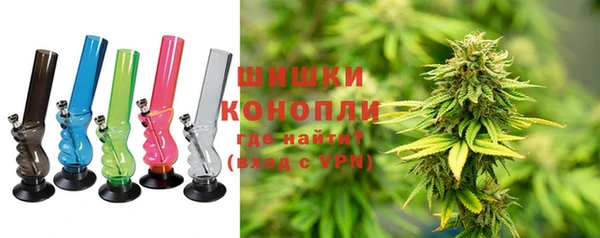 соль ск Волосово