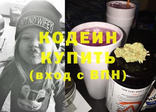 спиды Вяземский