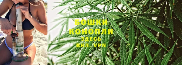 прущие крисы Володарск