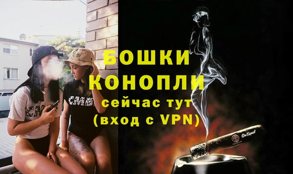 соль ск Волосово